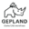 AYADEE BUILDING website